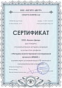 Методика многостороннего исследования личности (MMPI). USB-флеш-накопитель